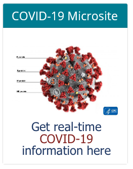 Covid-19 Info Graphic