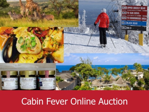 Cabin Fever Online Auction 2025